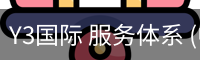 Y3国际